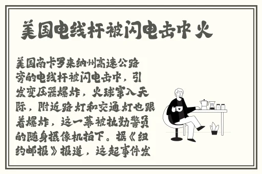 忘忧草视频资源在线播放